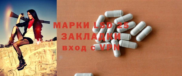 индика Богородицк
