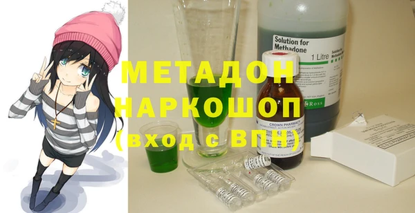 индика Богородицк