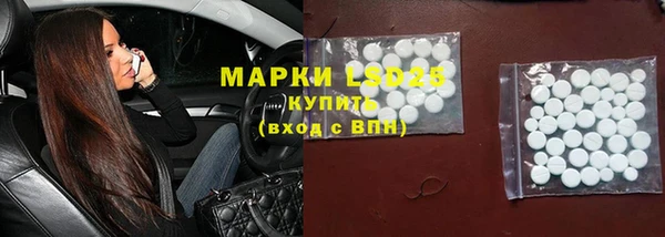 индика Богородицк
