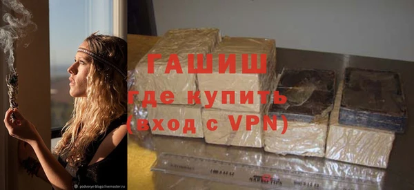 индика Богородицк