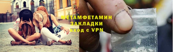 индика Богородицк