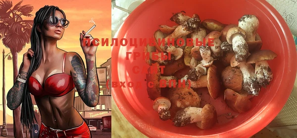 первитин Богданович