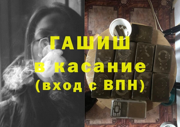 индика Богородицк