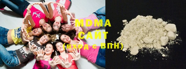 индика Богородицк