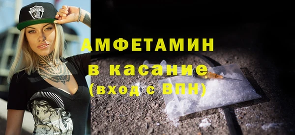 индика Богородицк