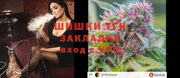ПСИЛОЦИБИНОВЫЕ ГРИБЫ Белоозёрский