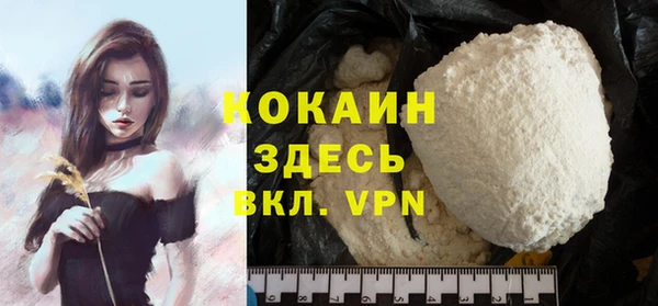 индика Богородицк