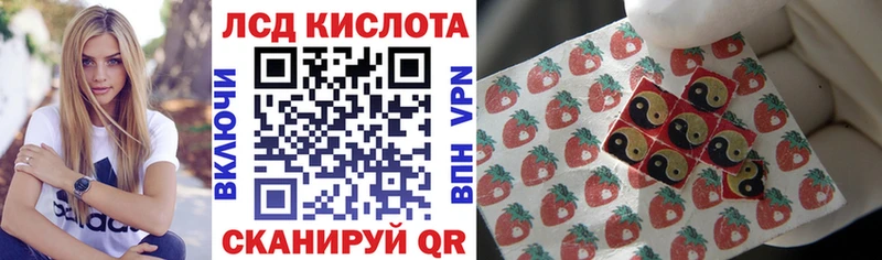 Марки N-bome 1,8мг блэк спрут Кирсанов